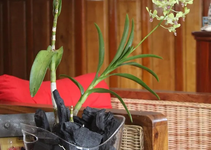 Willa B.maison D'hotes Angkor Siem Reap